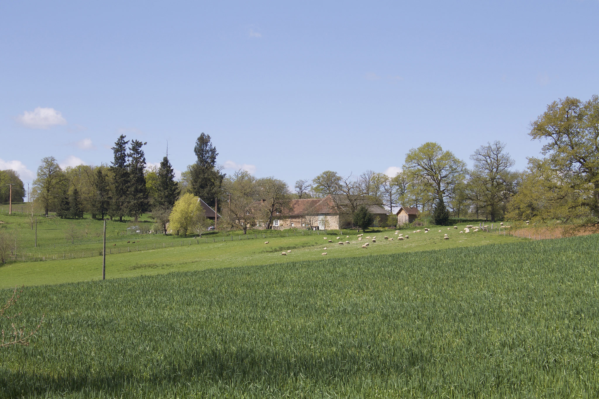 Saint-Jean-Ligoure